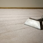 Bronze 5 Areas Carpet Cleaning Package